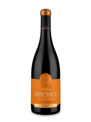 Casa Americo Jaen Dao Red 2019