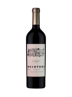 Dominio del Plata Nosotros Malbec 2019