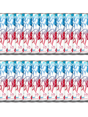 BEACH DAY EVERY DAY BERRY BEACH 24 X Can 473 ml