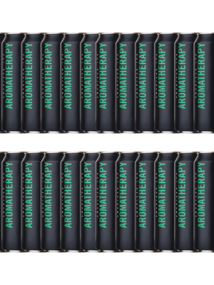 BEYOND THE PALE AROMATHERAPY 24 X Can 473 ml