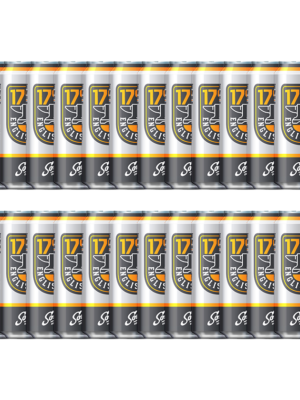 1792 ENGLISH ALE 24 X Can 473 ml