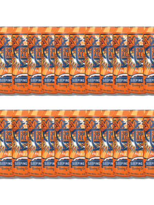SLEEPING GIANT  360 PALE ALE 24 X Can 473 ml