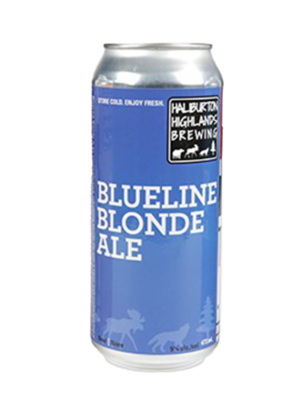 HALIBURTON BLUELINE BLONDE ALE 1 X Can 473 ml