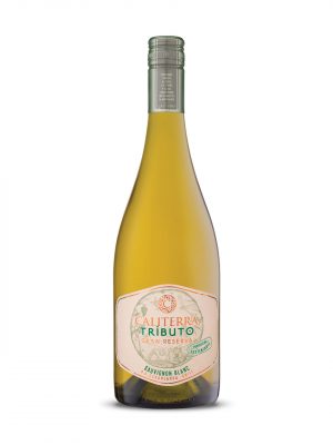 Caliterra Tributo Sauvignon Blanc 2022